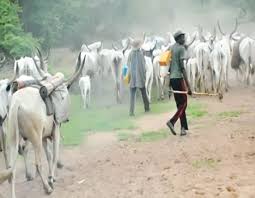 Three herdsmen arraigned for destroying Rice farm 