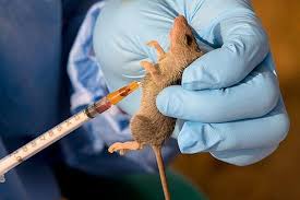 No confirmed case of Lassa Fever in Ogun - Commissioner