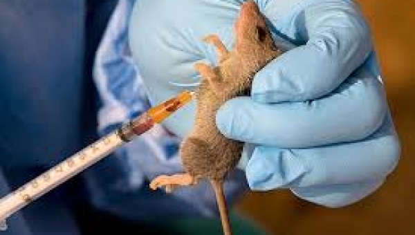 No confirmed case of Lassa Fever in Ogun - Commissioner