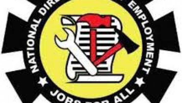 NDE committed to tackling youth unemployment ― DG