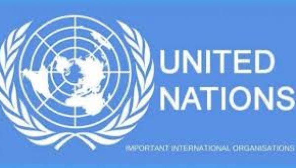 UN donates ambulances to Lagos state, restates solidarity with FG