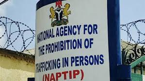 Justify rape, get arrested - NAPTIP tells Nigerians