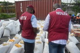 NDLEA seals off Cannabis warehouse, seizes drugs  worth N24m 