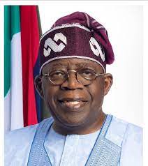 We’ll sustain ongoing reforms, says Tinubu