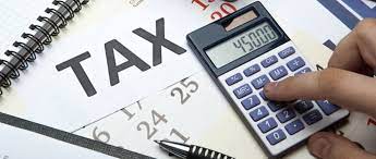 Tax, vital tool for economic development – ODIRS boss 