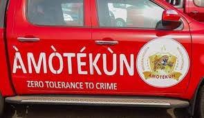 Insecurity: Amotekun nabs 21 suspected criminals in Ondo